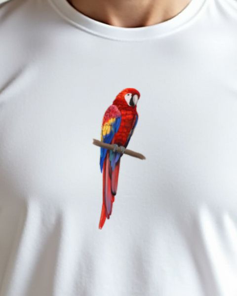 Macaw Parrot - Tropical Bird Gift for Parrot Lovers