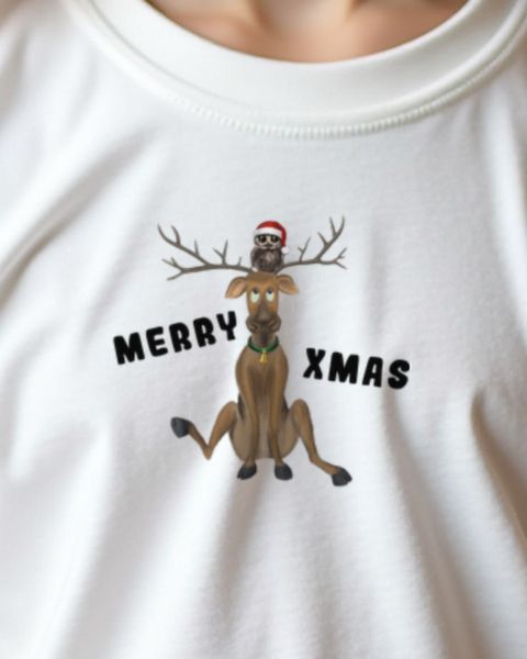 Reindeer Owl - Merry Xmas - Cute Owl with Antlers