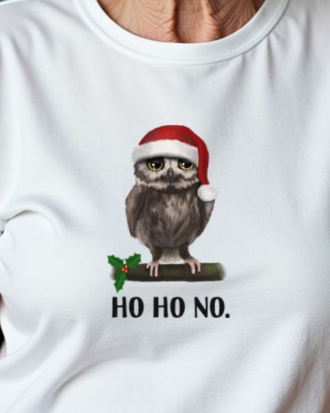 Grumpy Santa Owl - Funny Owl in Santa Hat Christmas
