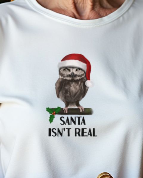 Grumpy Christmas Owl - Funny Holiday Grump Design