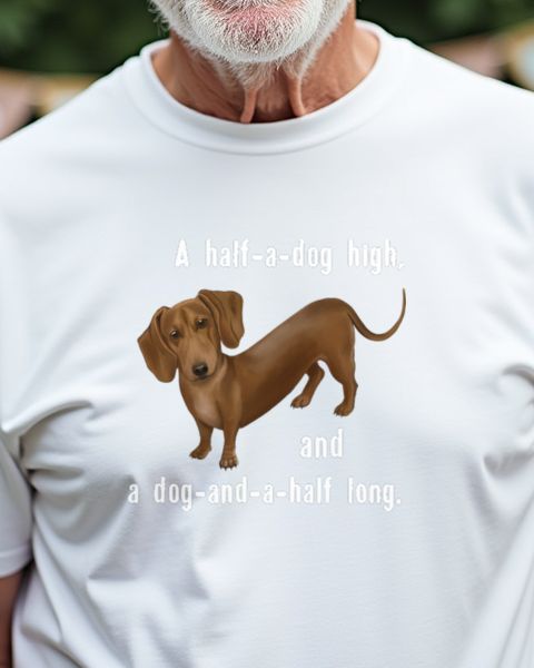 Dackel und ein halber Hund - Lustiges Dackel Motiv