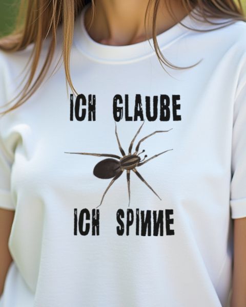 Ich glaube ich spinne - Lustiges Spinnen Wortspiel