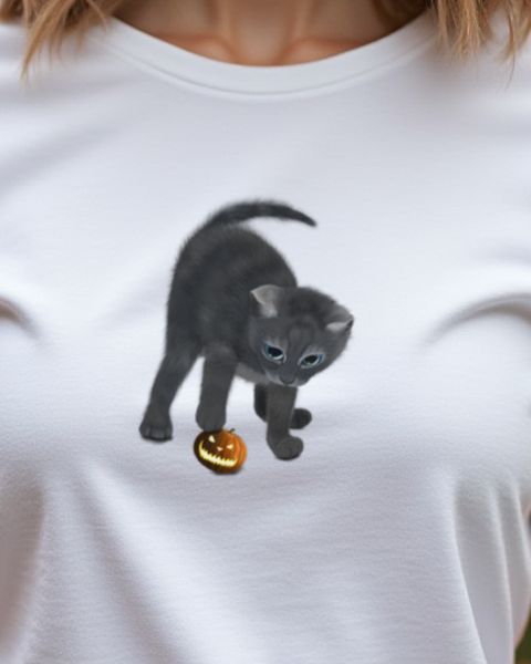 Kitten in a Halloween Pumpkin - Cute Cat Halloween