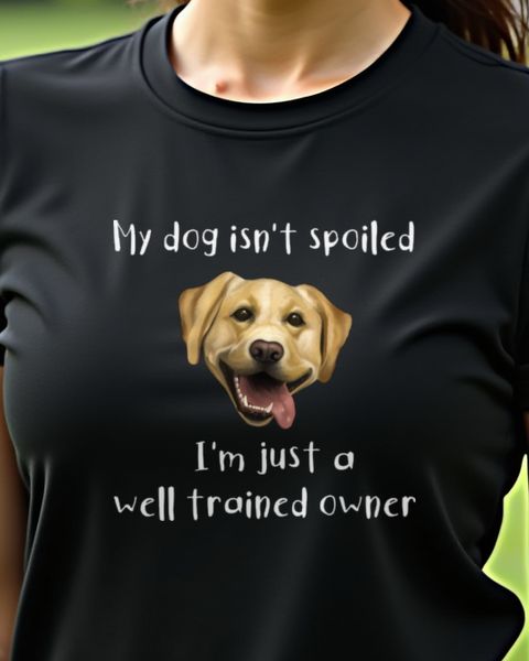 Labrador - Dog is not spoiled, I am well trained