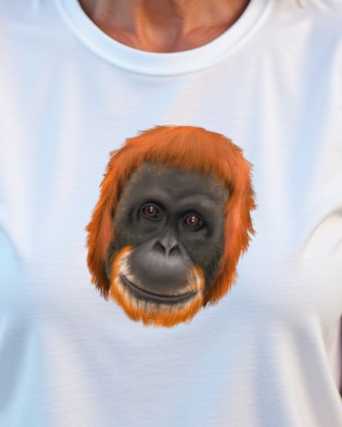Orangutan Ape - Design for Monkey and Rainforest Fans