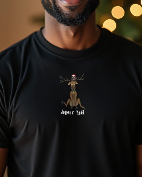 Reindeer Owl Joyeux Noël - Cute Christmas Owl Design