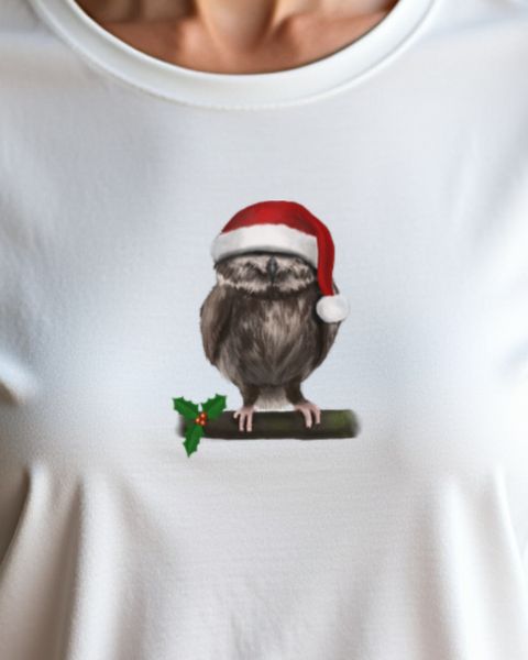 Schlafende Weihnachtseule - Gemütliches Weihnachtsmotiv