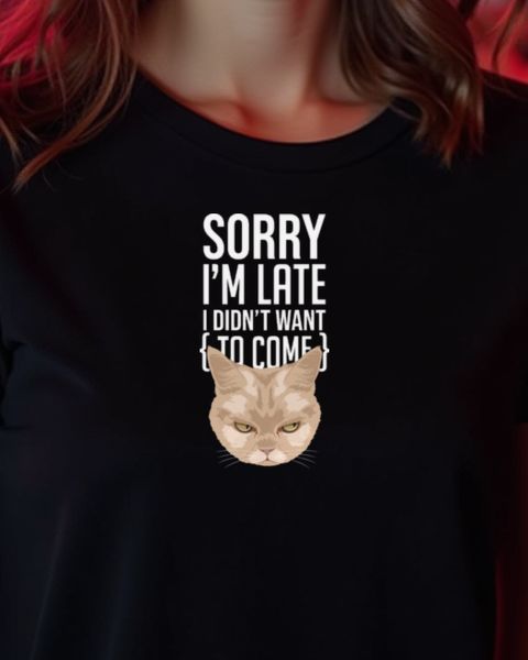 Late Because I Didn’t Want to Come - Antisocial Humor Gift