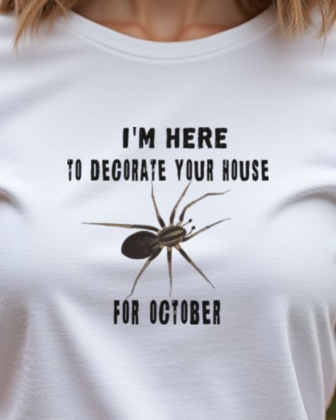 Spinne als Halloween Deko - Lustiges Spinnen Motiv