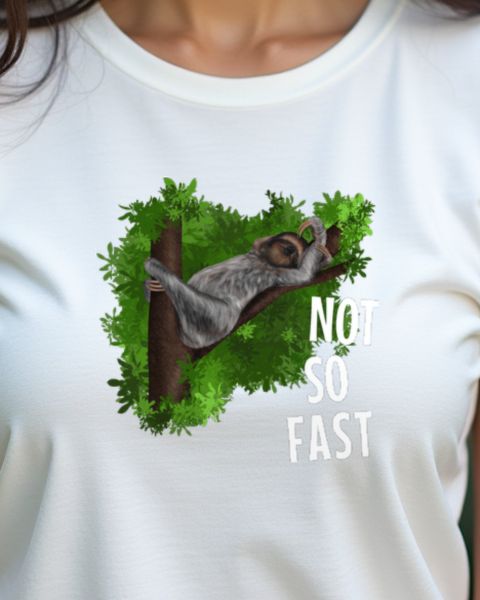 Süßes Faultier - Not So Fast - Lustiger Faultier Spruch