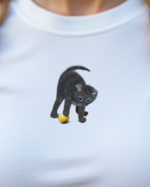 Verspielte Katze mit Zitrone - Geschenk für Katzenfans