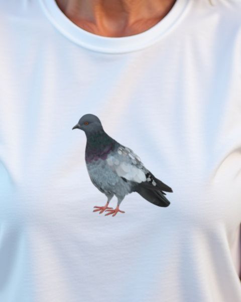 Pigeon - Gift for Pigeon Lovers and Keepers