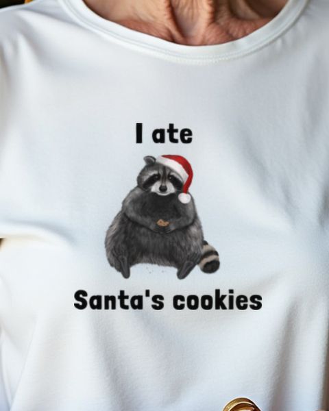 Waschbär hat die Kekse vom Weihnachtsmann gegessen - Lustig