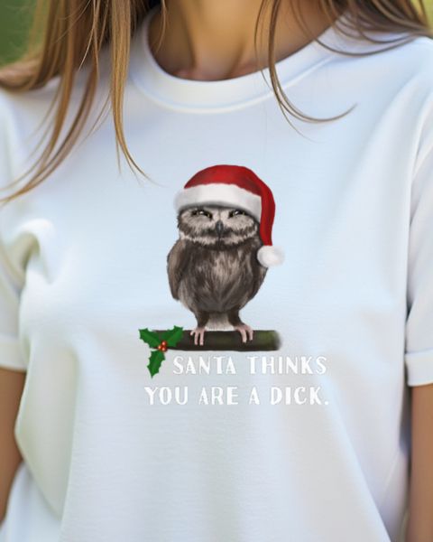 Mürrische Weihnachtseule - Santa mag dich nicht