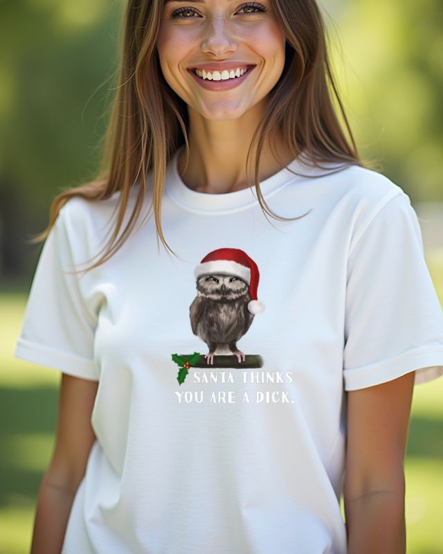 Mürrische Weihnachtseule - Santa mag dich nicht – T-Shirt